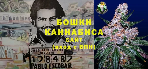 шишки Березники