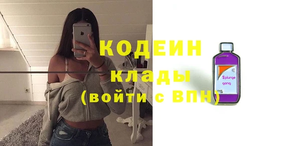 шишки Березники