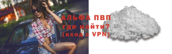 шишки Березники