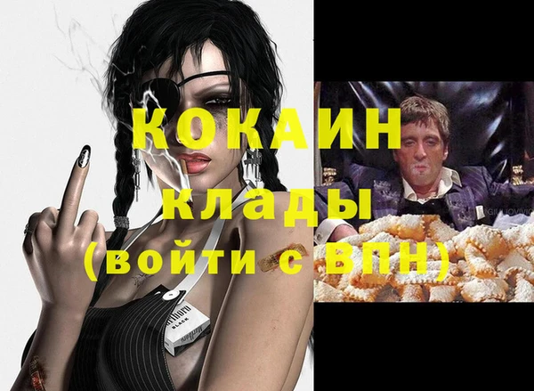 шишки Березники