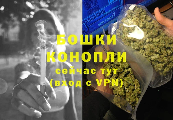 шишки Березники