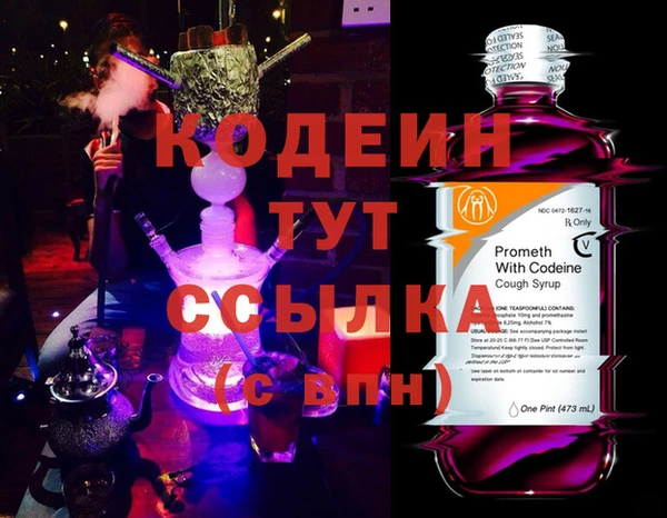 шишки Березники