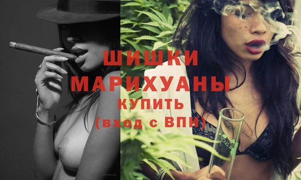 шишки Березники