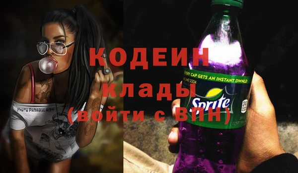 шишки Березники