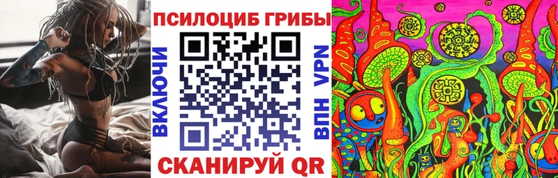 Псилоцибиновые грибы прущие грибы  кракен tor  Алдан 